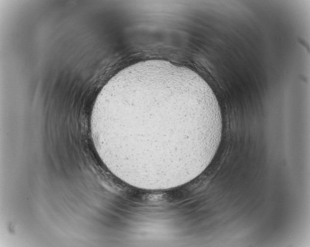 X0000102400173200808291453