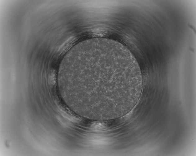 X0000102400174200808291453