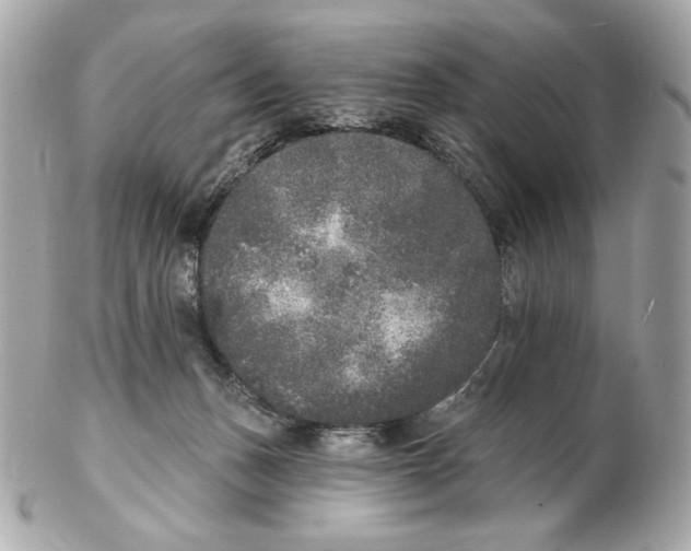 X0000102400175200808291453