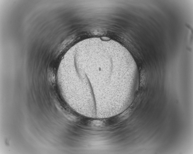 X0000102400176200808291453