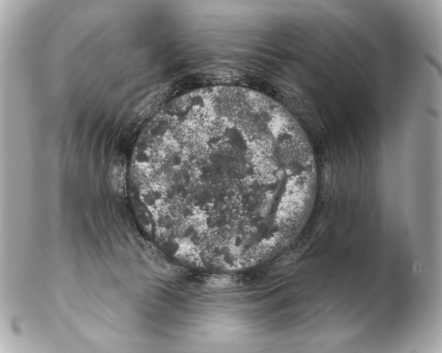 X0000102400177200808291453