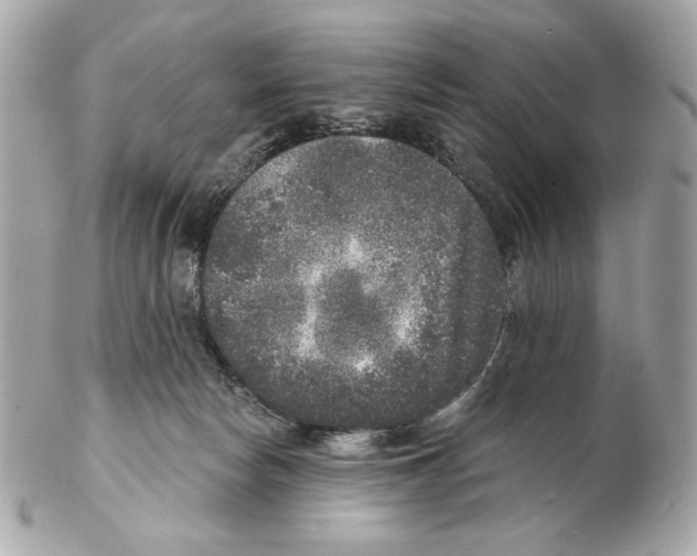 X0000102400178200808291453