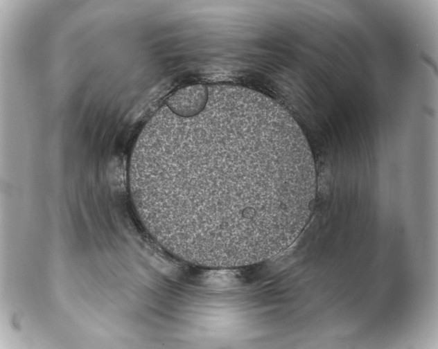 X0000102400179200808291453