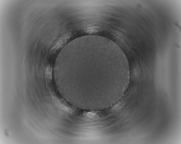 X0000102400180200808291453