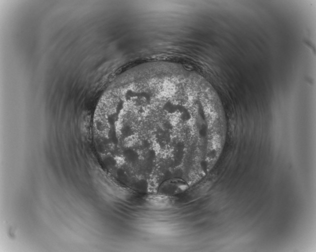 X0000102400181200808291453