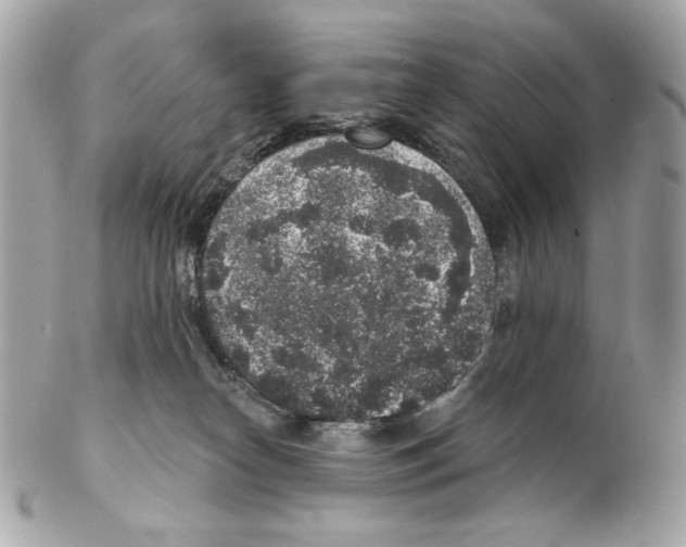X0000102400182200808291453