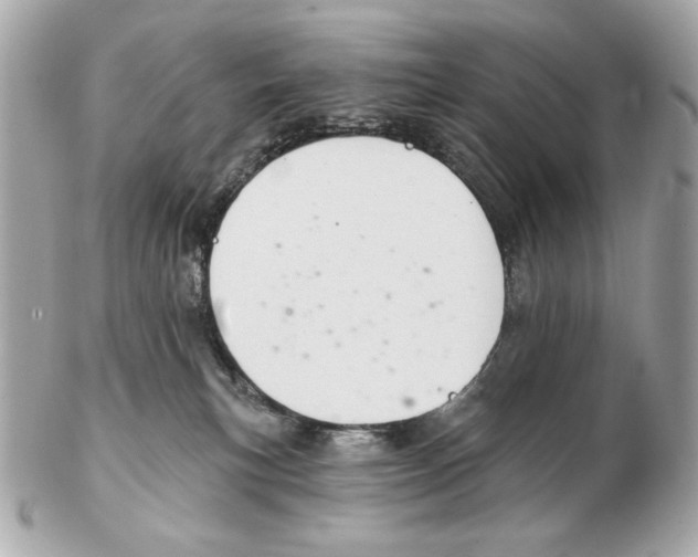 X0000102400183200808291453