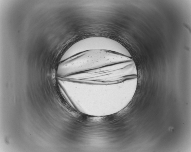 X0000102400184200808291453
