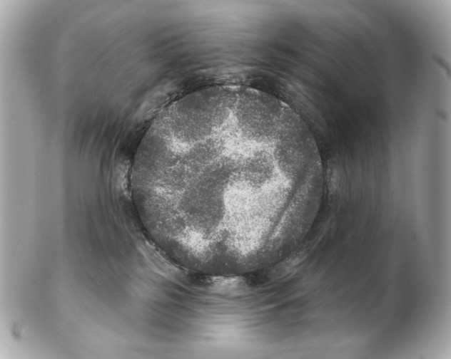 X0000102400185200808291453