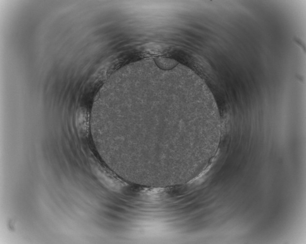 X0000102400186200808291453