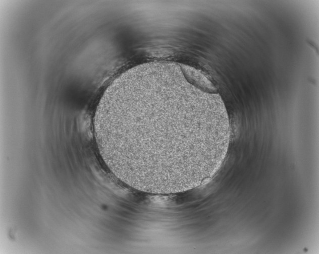 X0000102400187200808291453
