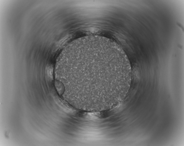 X0000102400188200808291453