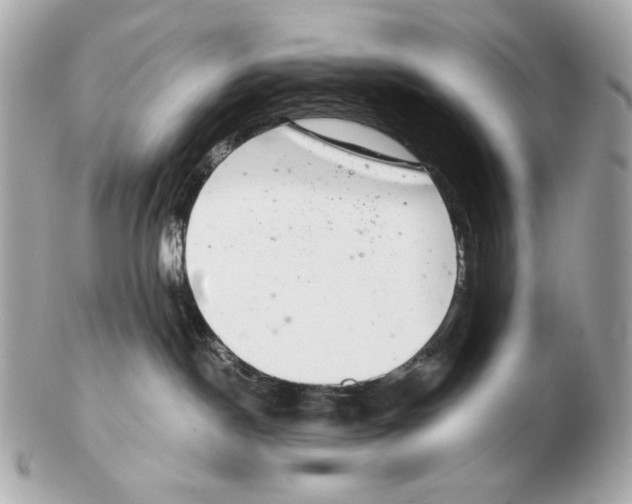 X0000102400190200808291453