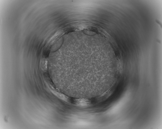 X0000102400191200808291453
