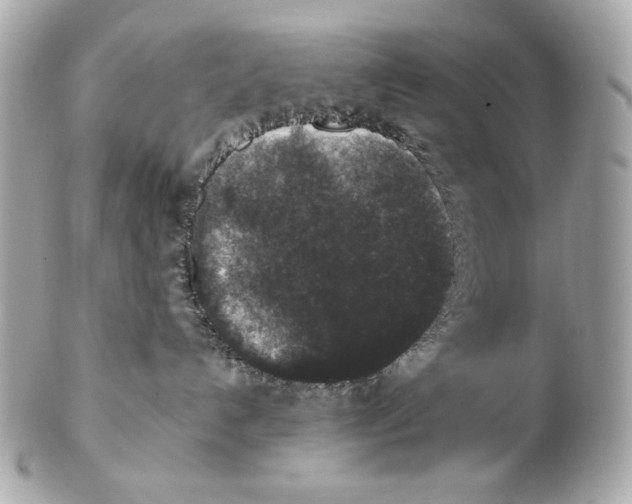 X0000102400192200808291453