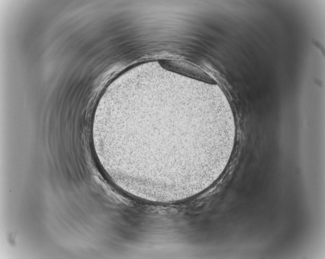 X0000102400193200808291453