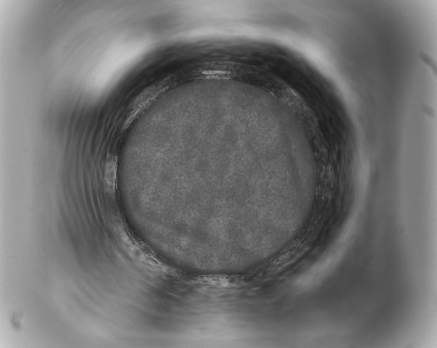 X0000102400194200808291453