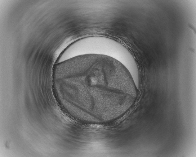 X0000102400195200808291453