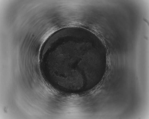 X0000102400196200808291453