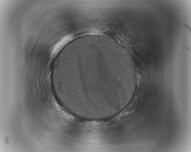 X0000102400197200808291453