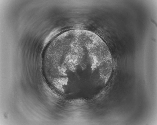 X0000102400198200808291453