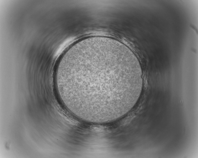 X0000102400199200808291453