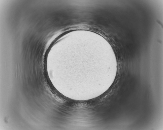 X0000102400200200808291453