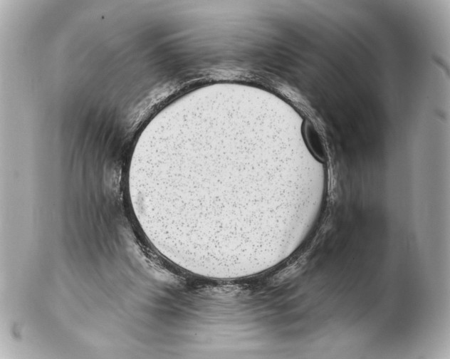 X0000102400201200808291453