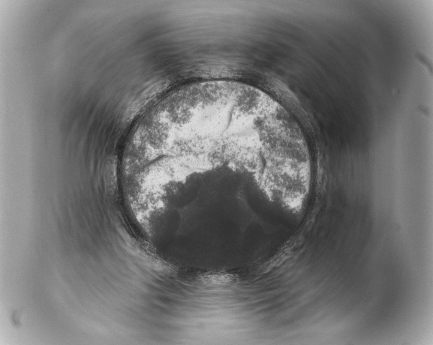 X0000102400202200808291453