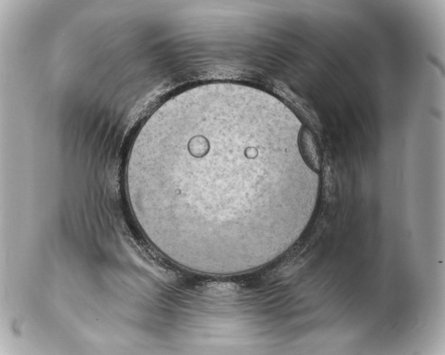 X0000102400203200808291453