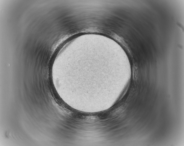 X0000102400204200808291453