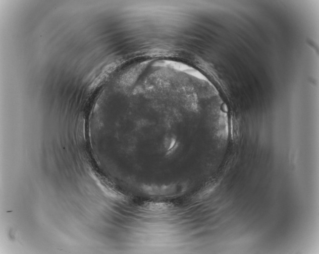X0000102400205200808291453