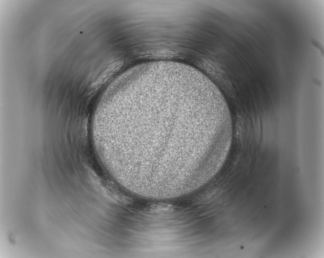 X0000102400206200808291453