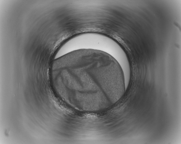 X0000102400207200808291453