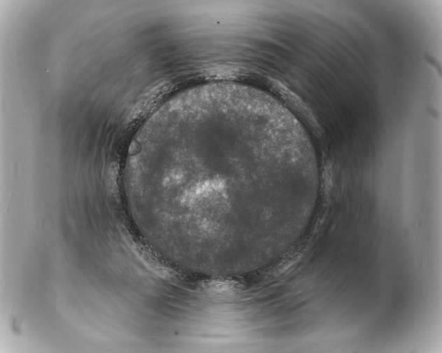 X0000102400209200808291453