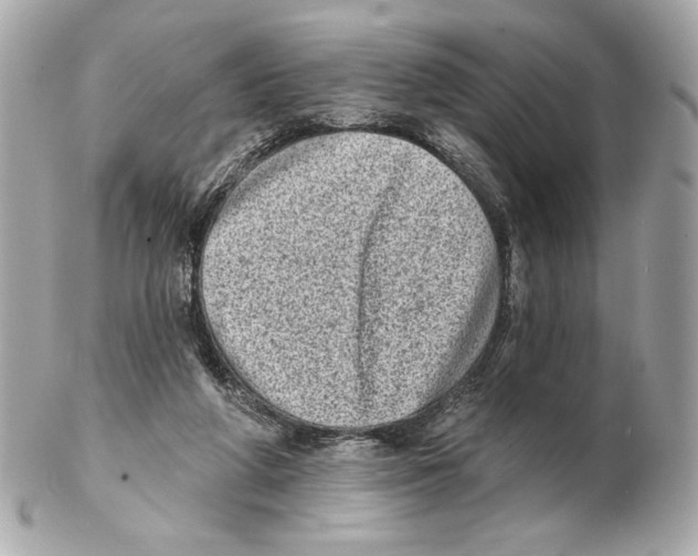X0000102400210200808291453