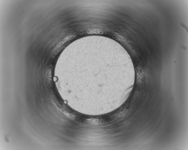 X0000102400211200808291453