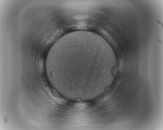 X0000102400213200808291452
