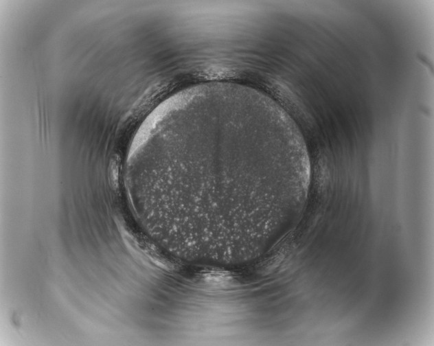 X0000102400214200808291452