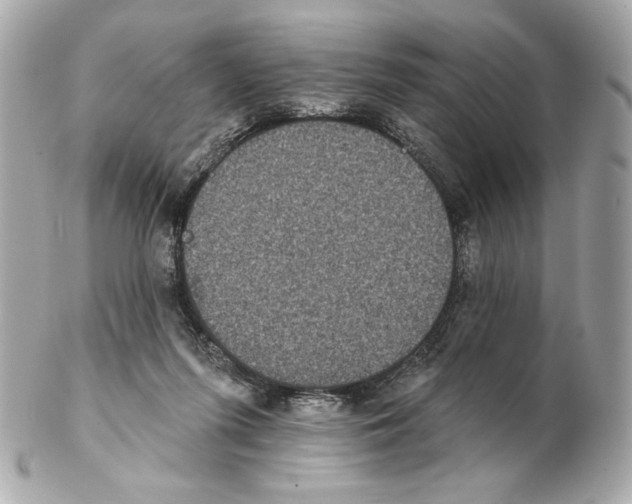 X0000102400215200808291452