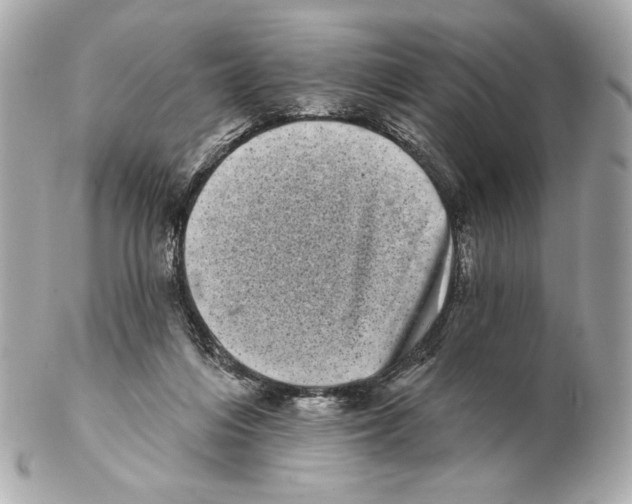 X0000102400216200808291452