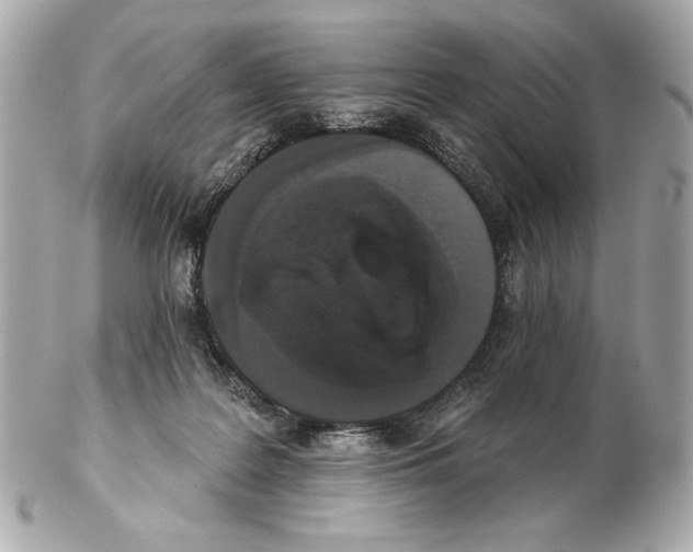 X0000102400219200808291452