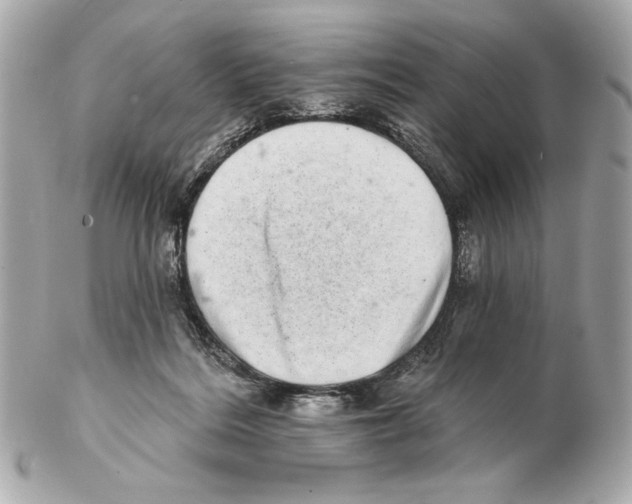 X0000102400220200808291452