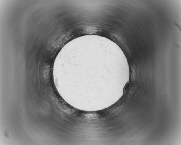 X0000102400221200808291452