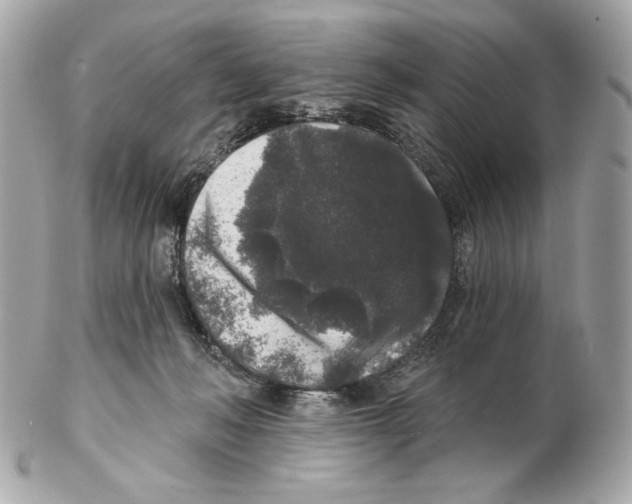 X0000102400222200808291452