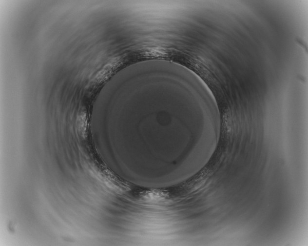 X0000102400223200808291452
