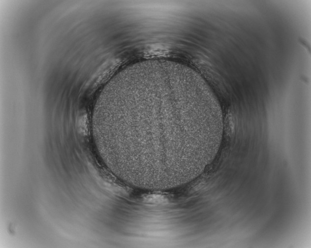 X0000102400224200808291452