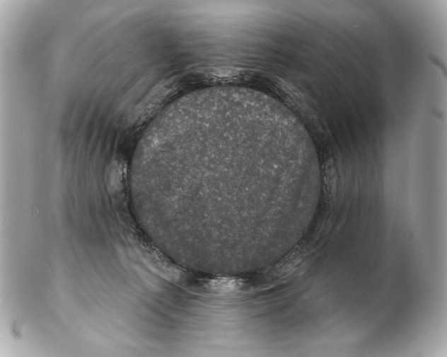 X0000102400225200808291452