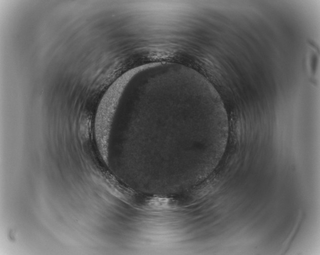 X0000102400227200808291452