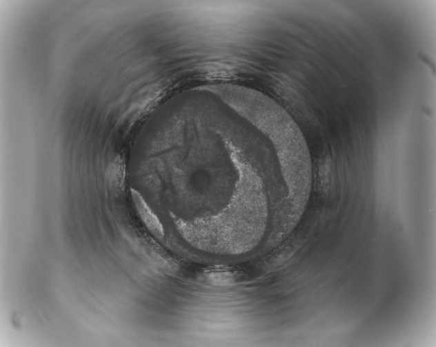 X0000102400228200808291452